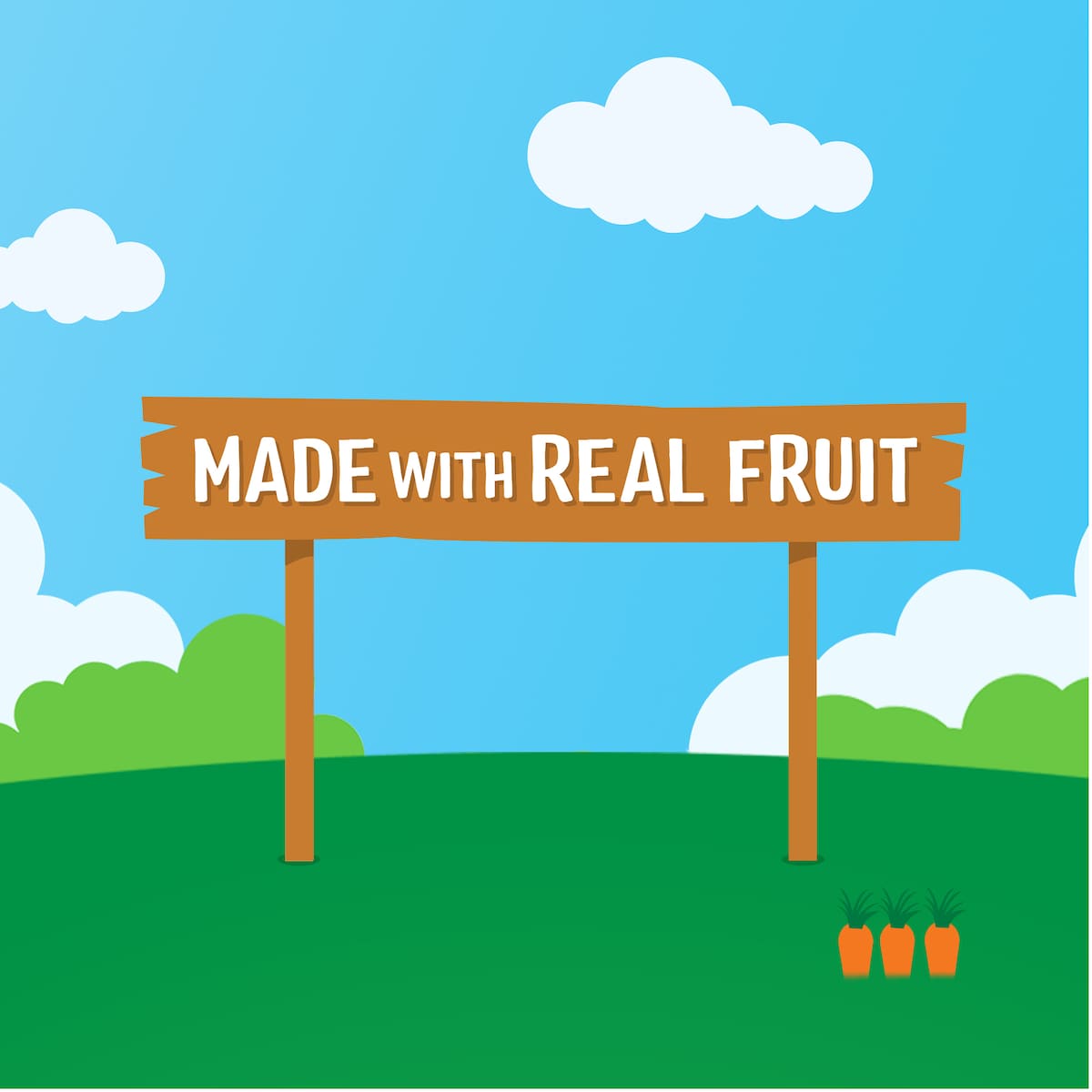 Raffertys Garden Apple Snack Bars With Real Fruit 12+ Months 8 Pack