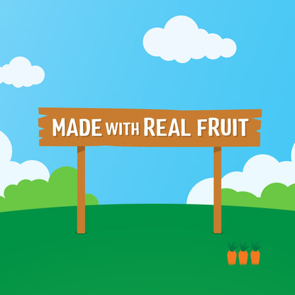 Raffertys Garden Apple Snack Bars With Real Fruit 12+ Months 8 Pack
