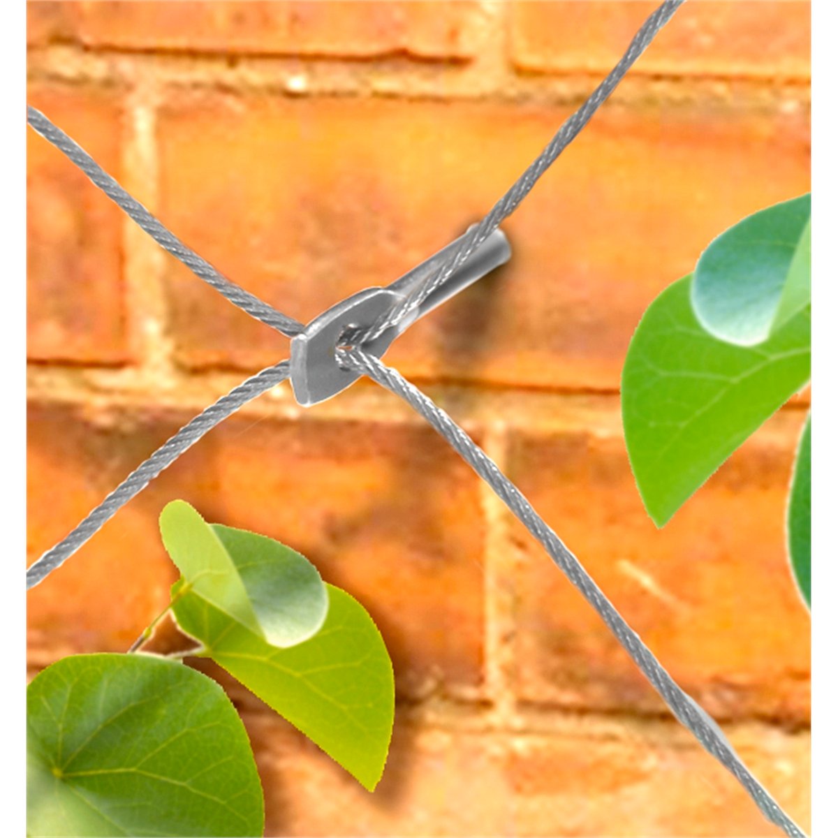 Jack Grip and Grow Trellis Kit 5m Galvanised Wire Strong Support