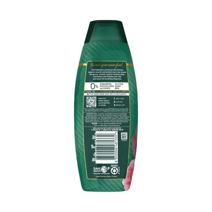 Palmolive Luminous Oils Macadamia Argan Oil & Camellia Shampoo - 350mL