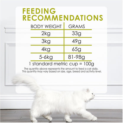 Fancy Feast Adult Chicken, Turkey & Vege Flavour Dry Cat Food 450g