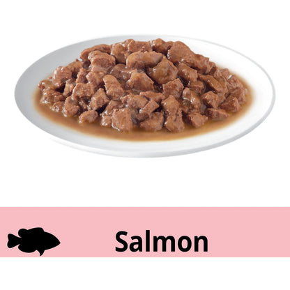Dine Adult Wet Cat Food Saucy Morsels with Salmon Tray 85g