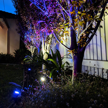 Holman RGB Colour Bluetooth Garden Light Controller 60W