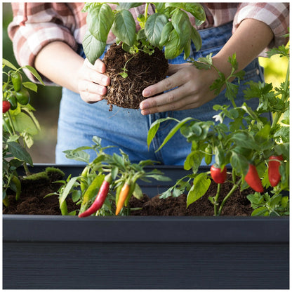 Keter Alfresco Raised Garden Bed Black Uv-Resistant Resin 105L