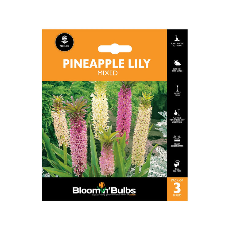 Bloomin Bulbs Pineapple Lily Mixed 3 Pack