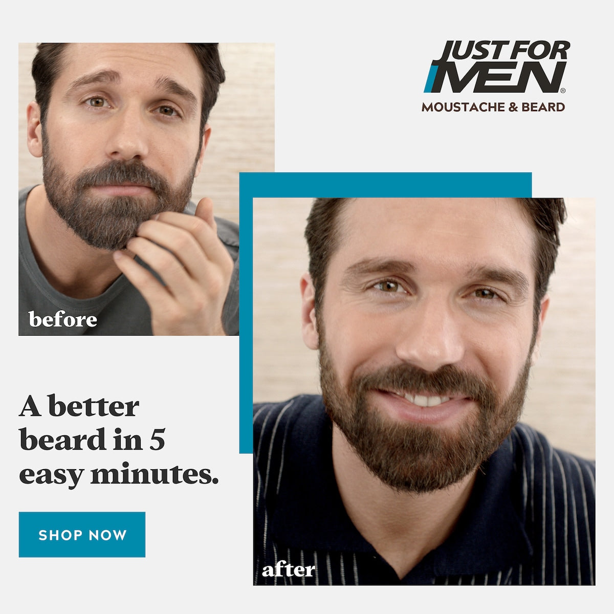 Just For Men Moustache & Beard Dark Brown Each