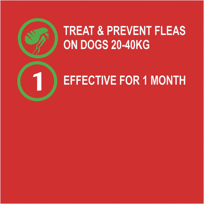 Exelpet Vet Series Treatment Spot On Flea Large Dog 2 pack