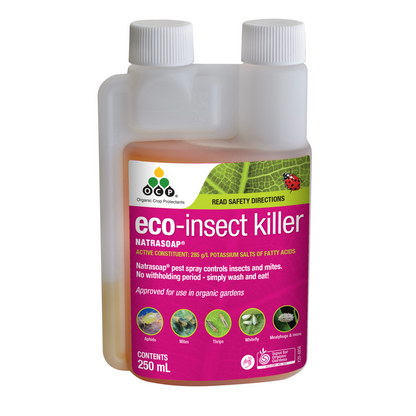 Ocp Eco Insect Killer Concentrate - 250ml