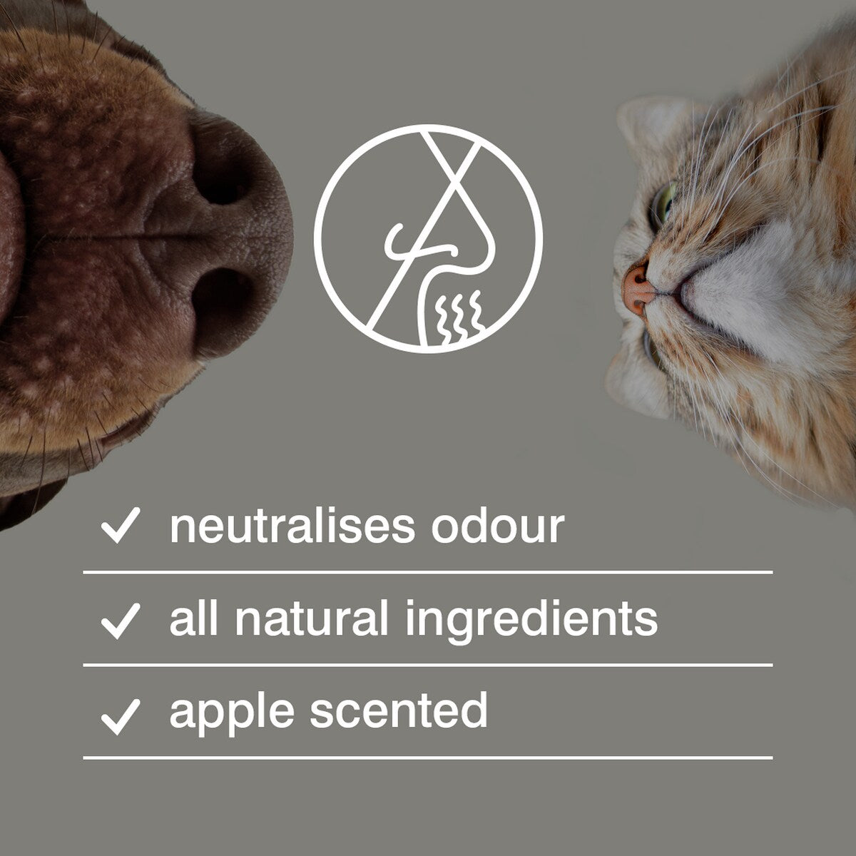 Rufus & Coco Wee AwayPet Training Odour Control 250ml