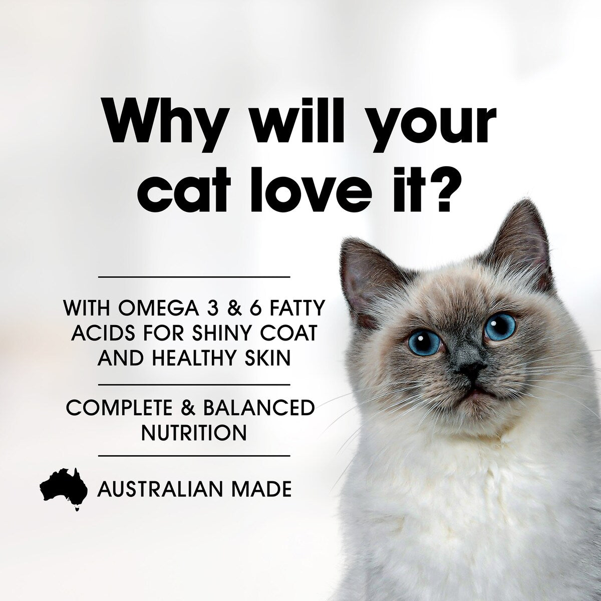 Fussy Cat Grain Free Adult Dry Cat Food Salmon Whitefish & Olive Oil 500g