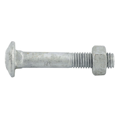 Zenith Hot Dip Galvanised Cup Head Bolts & Nuts - 60mm - 25 Pack