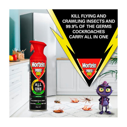 Mortein Powergard All In One Insect Spray Eucalyptus - 300g