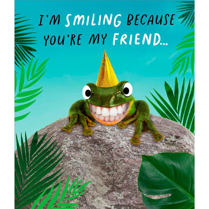 John Sands Greeting Card Friendship Smiling Frog Each