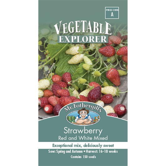 Mr Fothergill Strawberry Seeds