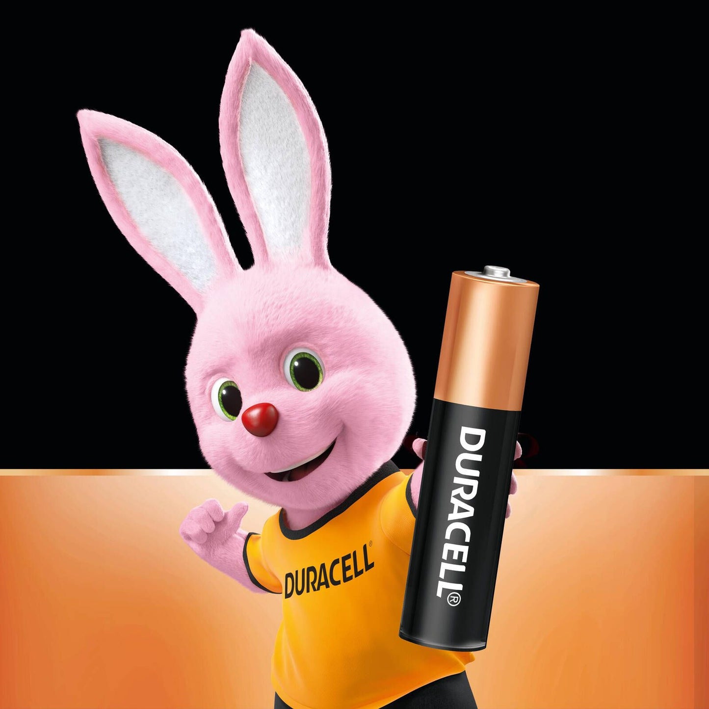 Duracell Coppertop AAA Batteries