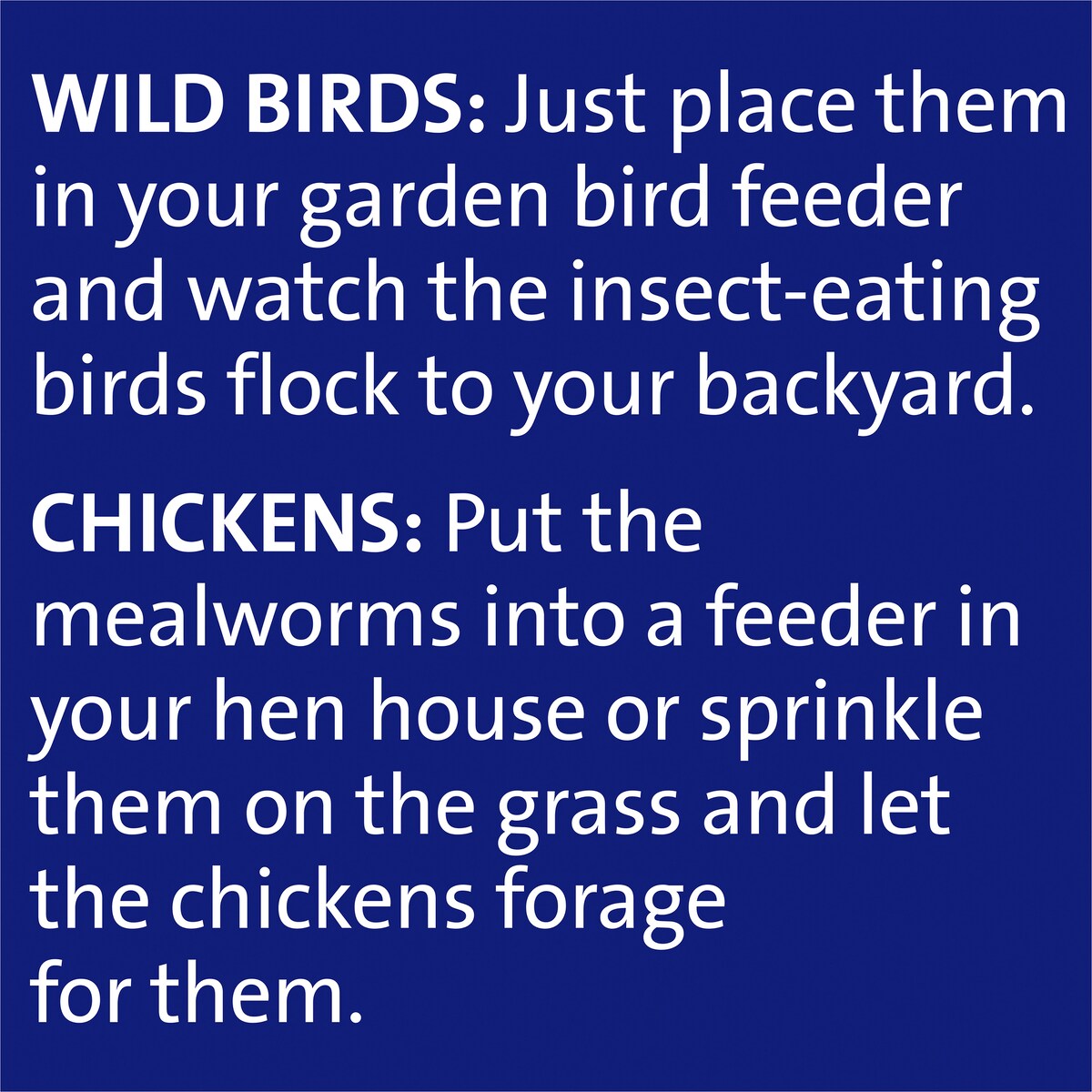 Harmony Wild Bird Dried Mealworms 120g