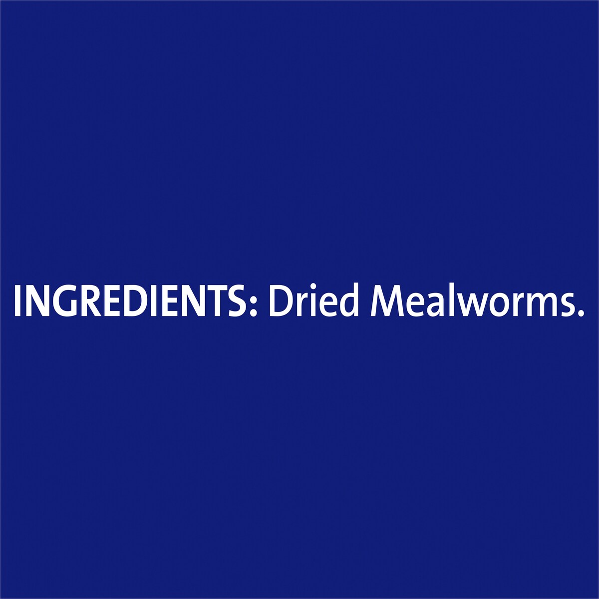 Harmony Wild Bird Dried Mealworms 120g