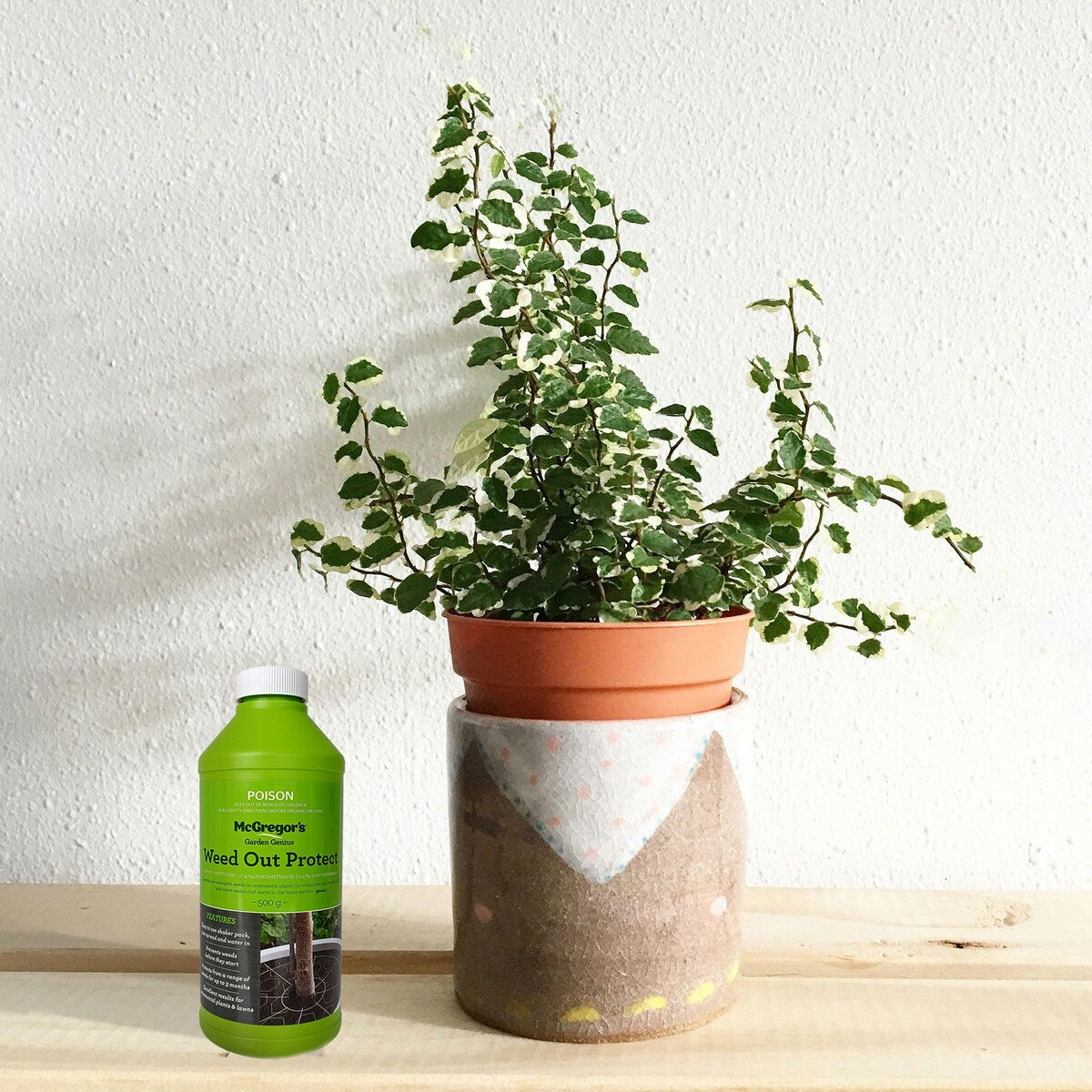 Mcgregor's Weed Out Protect Shaker Pack 500g