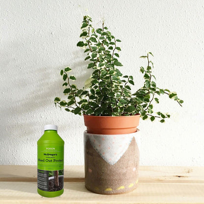 Mcgregor's Weed Out Protect Shaker Pack 500g