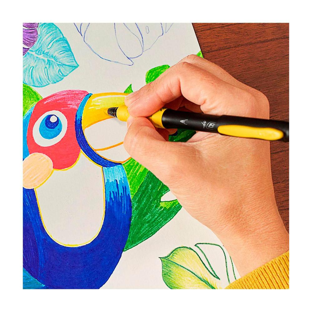 Bic Intensity Colouring Felt Pens - 12 Pack