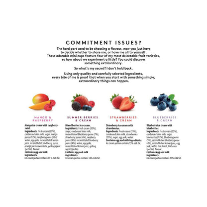 Haagen Dazs Fruit Collection Little Cups 4 Pack - 380mL