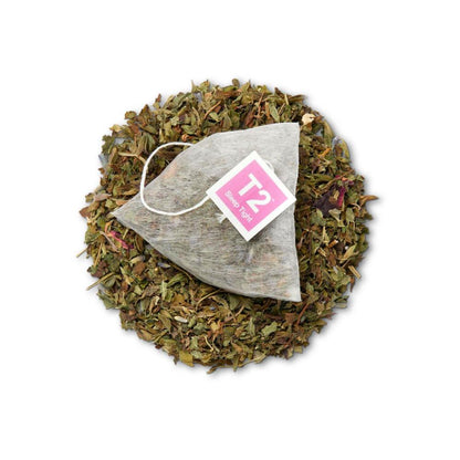 T2 Sleep Tight Tea - 10 pack