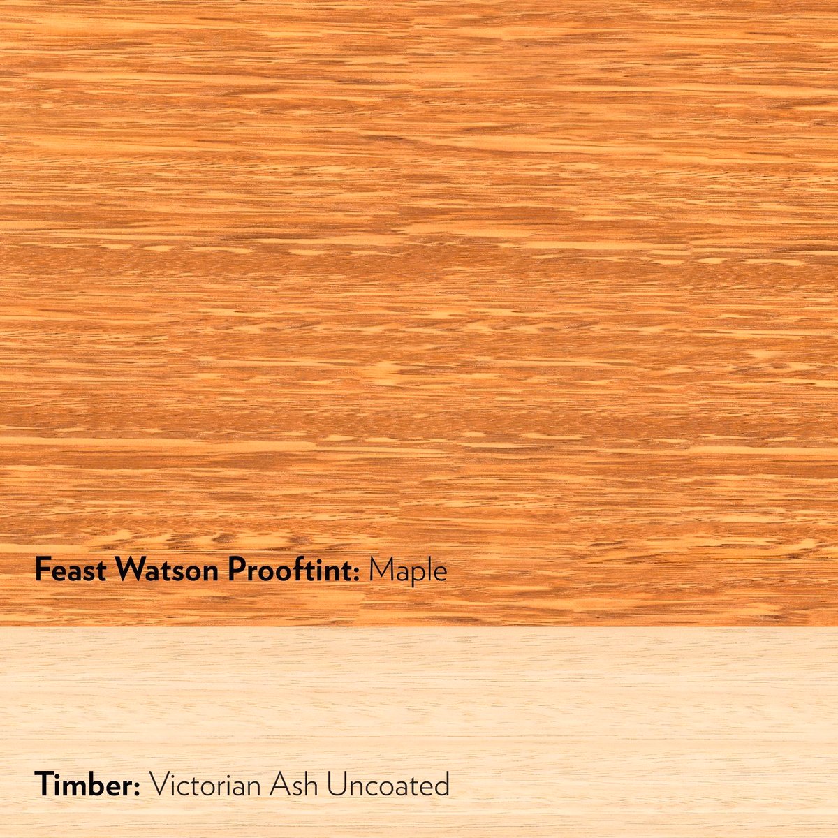 Feast Watson Prooftint Interior Stain - 50ml - Maple - Oil Based - Fast Drying