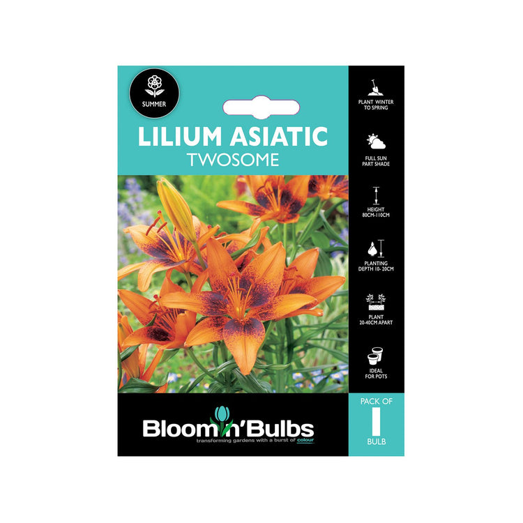 Bloomin Bulbs Lilium Asiatic Twosome