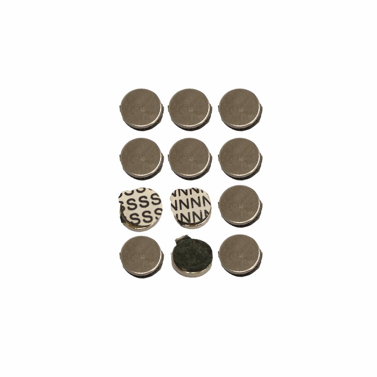 Everhang Rare Earth Disc Magnet 9.5mm Neodymium 6 Pack Strong Adhesive