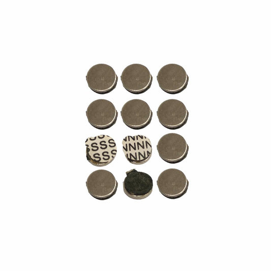 Everhang Rare Earth Disc Magnet 9.5mm Neodymium 6 Pack Strong Adhesive