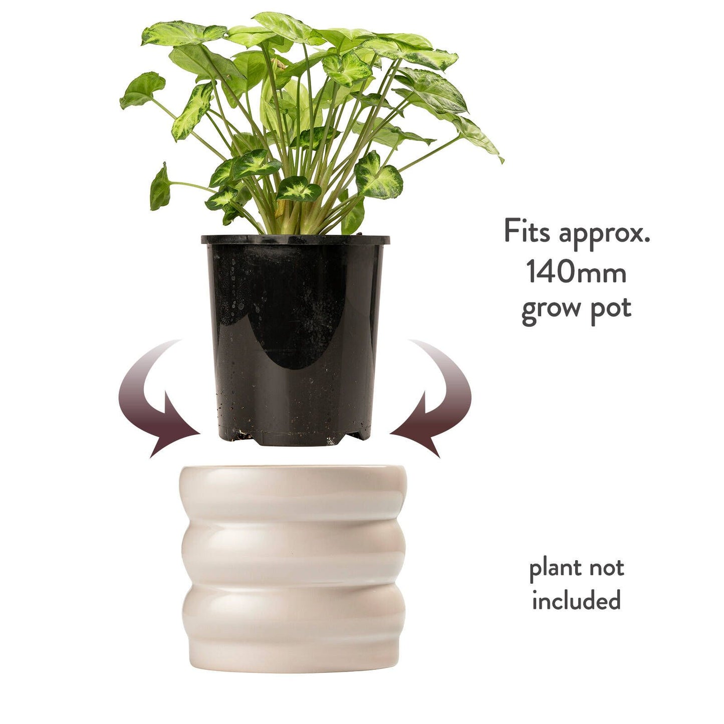 Borralheira Indoor Ceramic Pot - 180 x 155mm - Smooth Bone