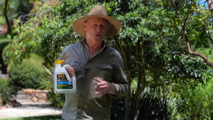 Seasol Organic Iron - 1.2L