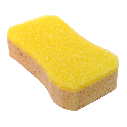 Mr Clean Power Sponge