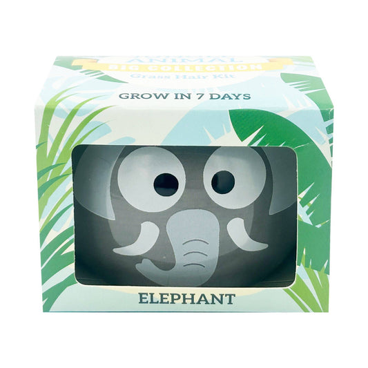 Mr Fothergill's Large Elephant Grass Hair Kit