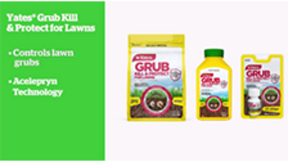 Yates Grub Kill & Protect For Lawns - 2.5kg