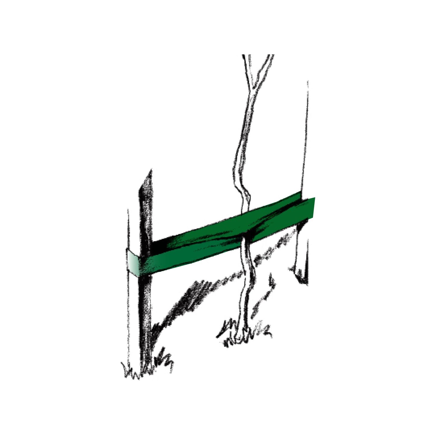 Jack Polywoven Shrub Tie - 60m - Green