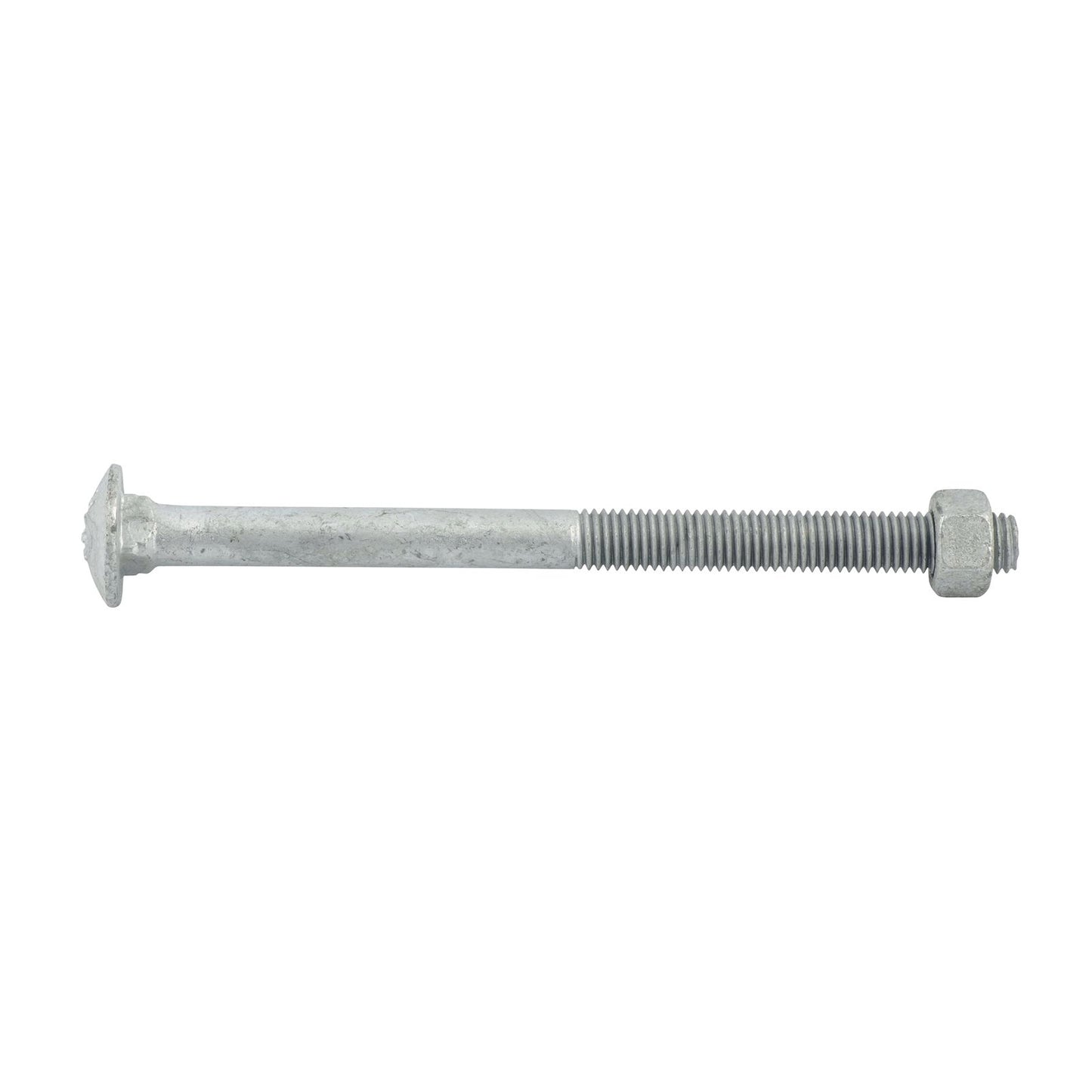 Zenith Hot Dip Galvanised Cup Head Bolts & Nuts - M12 x 170mm - 12 Pack