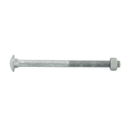 Zenith Hot Dip Galvanised Cup Head Bolts & Nuts - M12 x 170mm - 12 Pack