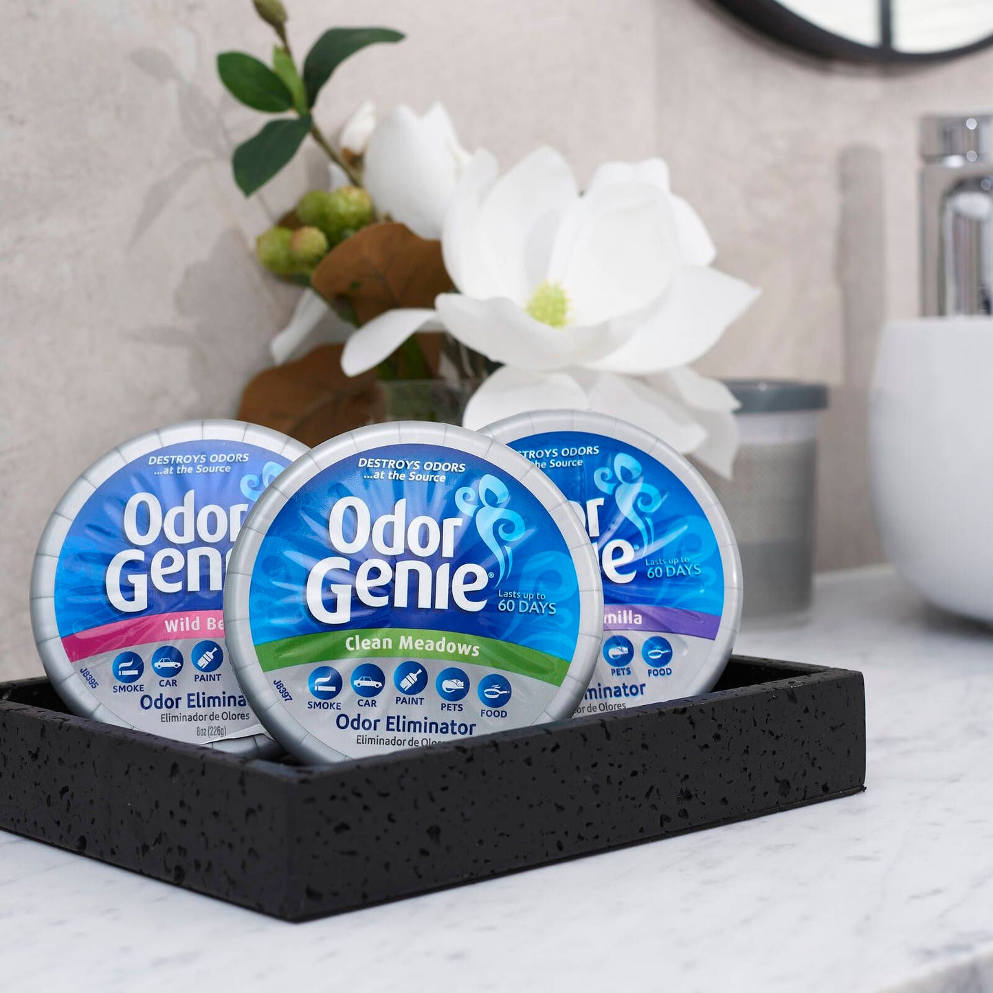 Damprid Wild Berry Odor Genie - 226g