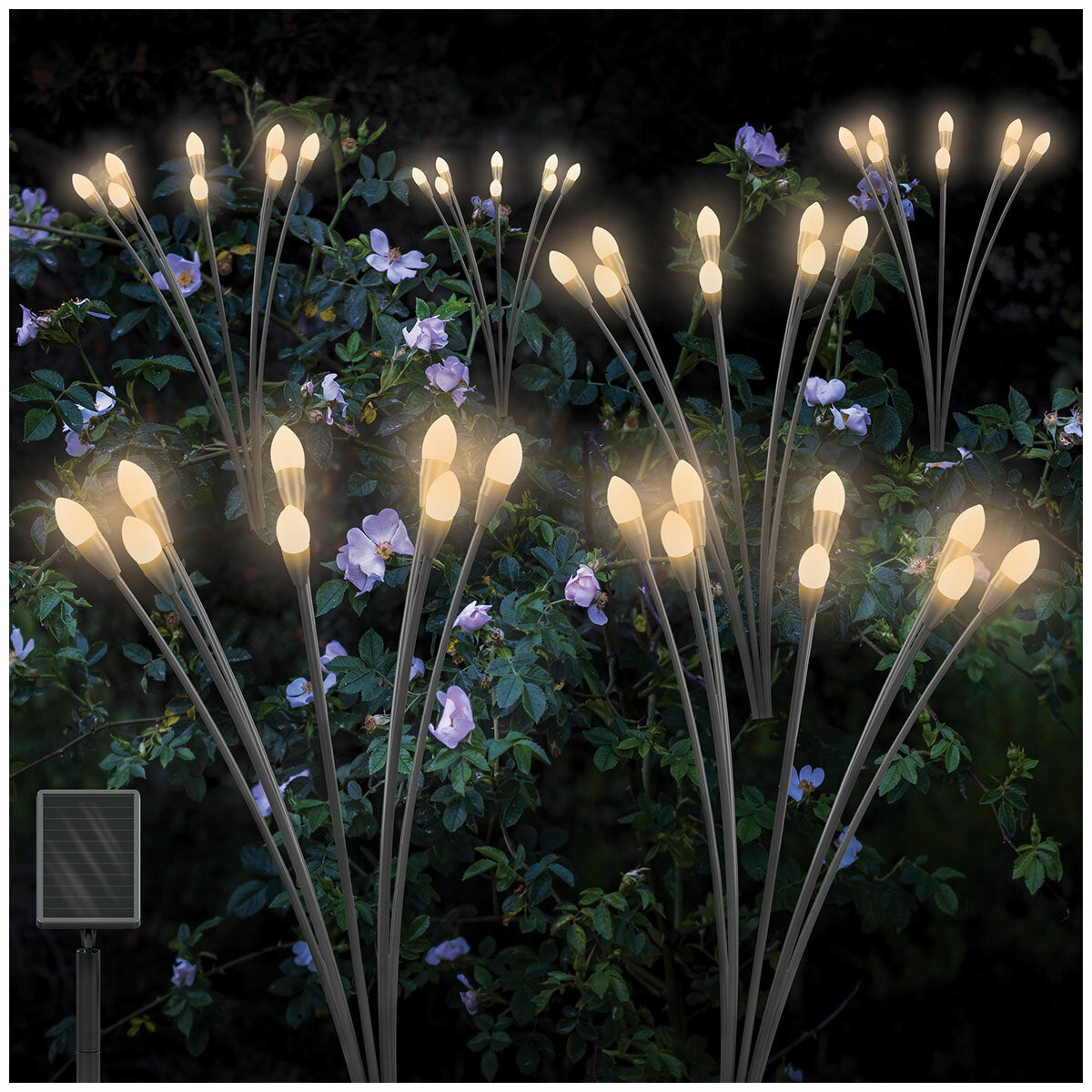 Sol-R-Brite Solar Firefly Lights Set of 4 IP65 Black Weather Resistant