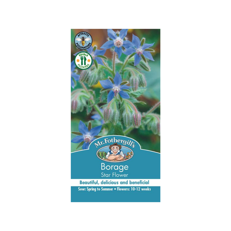 Mr Fothergill Borage Star Flower Seeds