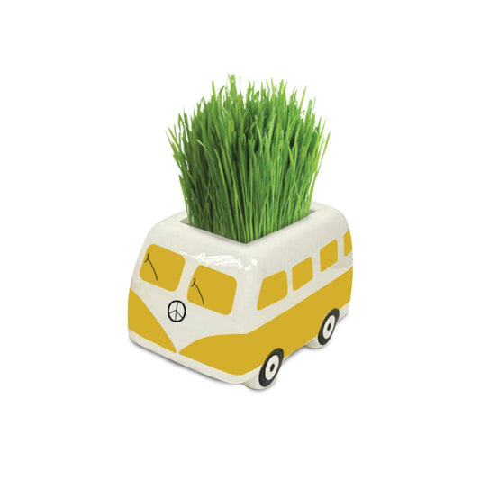 Mr Fothergill's Minivan Grow Kit - Yellow