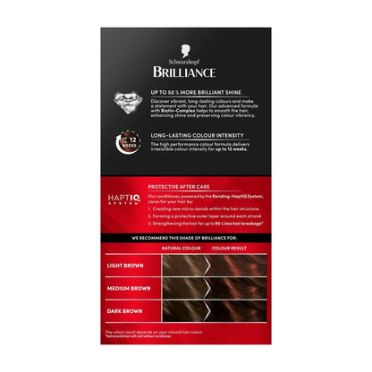Schwarzkopf Brilliance 68 Chocolate Rush - 1 each