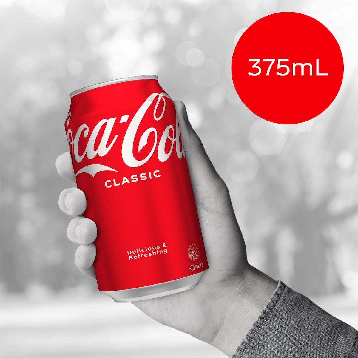 Coca-cola Classic Soft Drink Cans 375ml X 24 Pack