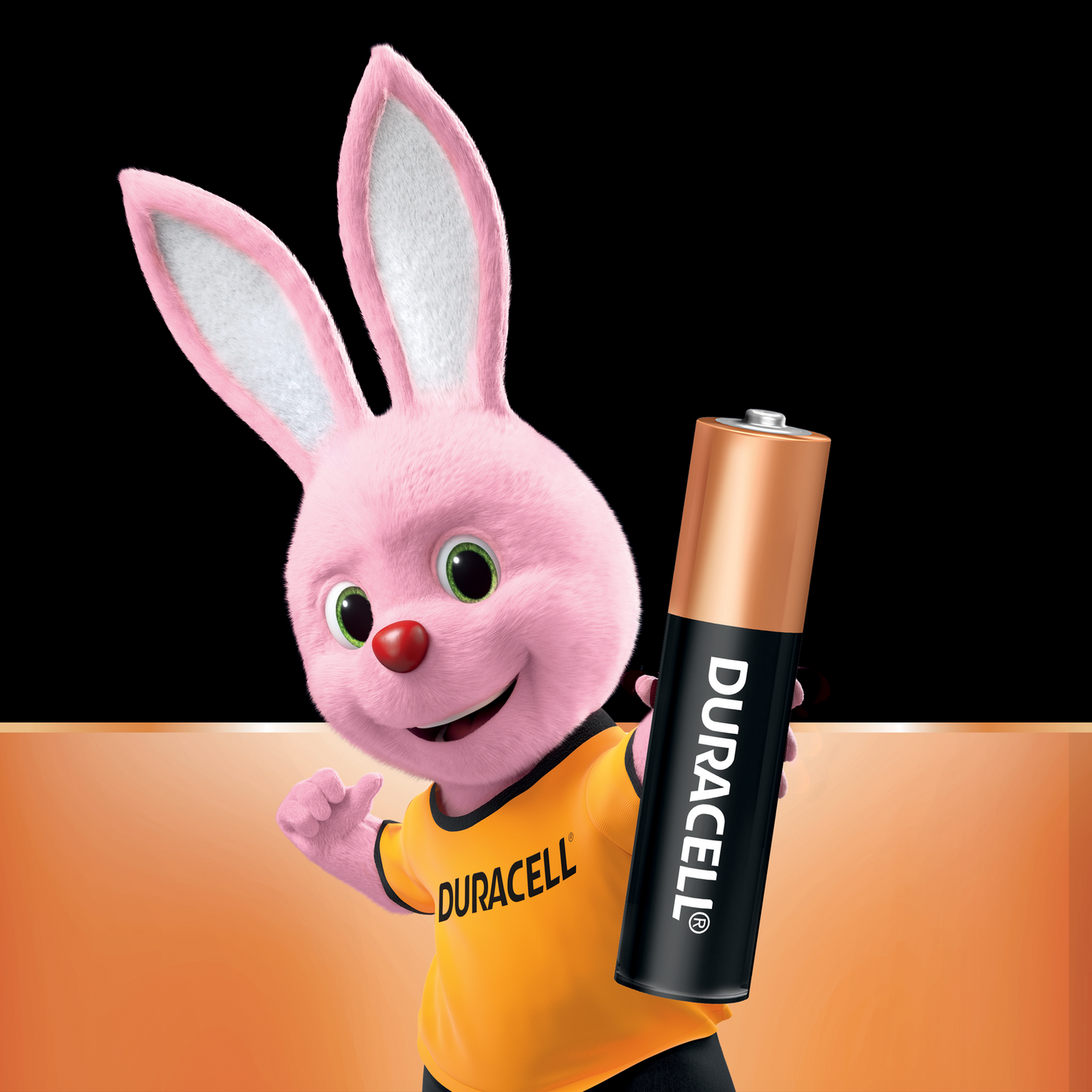 Duracell Coppertop AAA Batteries - 24 Pack