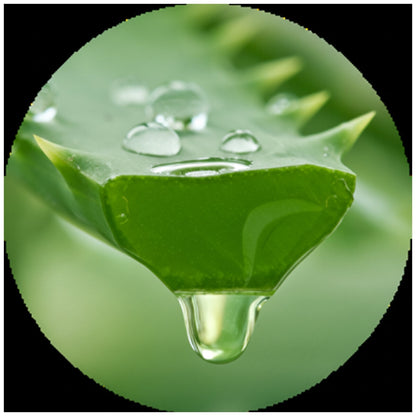 Itchfix Soothing Gel Twin Pack Aloe and Witch Hazel 2 x 75g