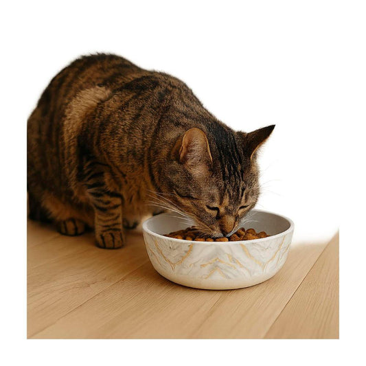 Lux And Bones Arthouse Collection Printed Bamboo Cat Bowl - 1 pack
