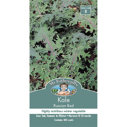 Mr Fothergill Kale Russian Red Seeds