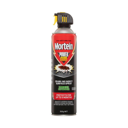 Mortein Kill & Protect Barrier Surface Spray Outdoor - 350g