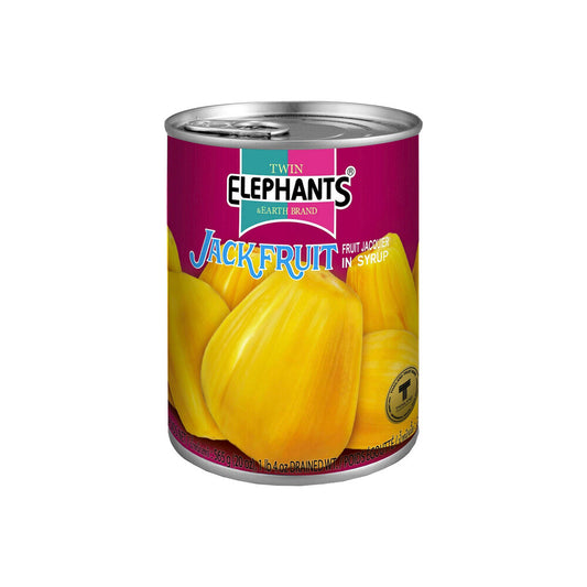 Twin Elephants Jackfruit In Syrup - 565g